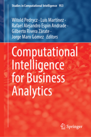 Computational Intelligence for Business Analytics