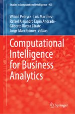 Computational Intelligence for Business Analytics