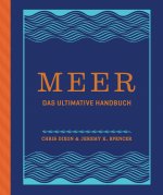 Meer