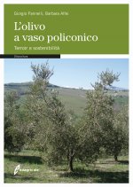 olivo a vaso policonico. Terroir e sostenibilità