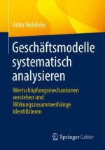 Geschaftsmodelle Systematisch Analysieren