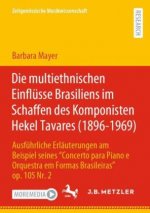 multiethnischen Einflusse Brasiliens im Schaffen des Komponisten Hekel Tavares (1896-1969)