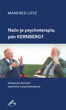 Načo je psychoterapia, pán Kernberg?