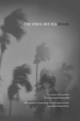 stars are his bones