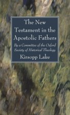 New Testament in the Apostolic Fathers