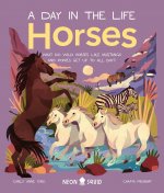 Horses (a Day in the Life): What Do Wild Horses Like Mustangs and Ponies Get Up to All Day?