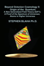 Beyond Octonion Cosmology II