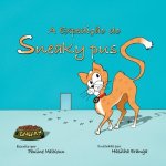 Expedicao do Sneaky Puss