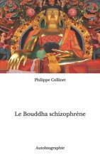 Bouddha schizophrene