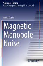 Magnetic Monopole Noise