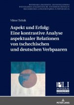 Aspekt und Erfolg