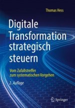 Digitale Transformation Strategisch Steuern