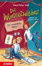 Die Wunderzwillinge 01. Der unheimliche Mieter