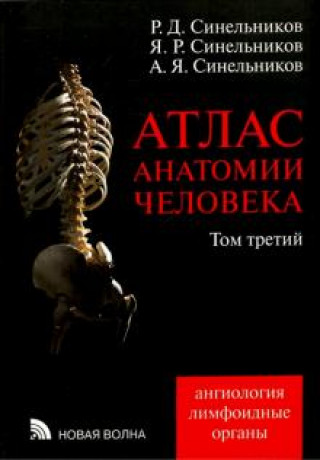 Атлас анатомии человека. В 4-х томах. Том 3. Учение о сосудах и лимфоидных органах. Ангиология. Лимфоидные органы