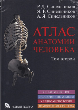 Атлас анатомии человека. В 4-х томах. Том 2. Спланхнология. Эндокринные железы. Кардиоангиология. Лимфоидная система.