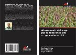 Allevamento del sorgo per la tolleranza alla striga e alla siccit?