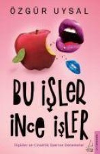 Bu Isler Ince Isler