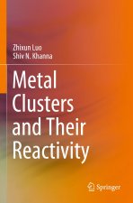 Metal Clusters and Their Reactivity