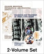 Neuroscience of Spinal Cord Injury