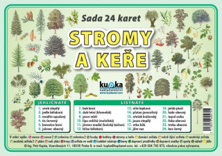 Sada 24 karet - stromy a keře