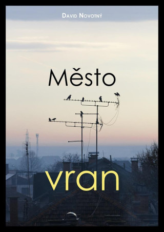 Mďż˝sto vran