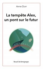 tempete Alex, un pont sur l'avenir