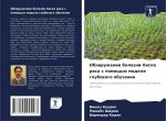 Obnaruzhenie bolezni Hispa risa s pomosch'ü modeli glubokogo obucheniq