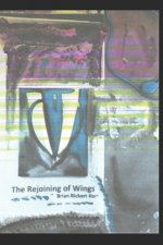 Rejoining of Wings