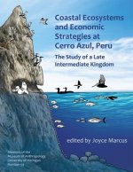 Coastal Ecosystems and Economic Strategies at Cerro Azul, Peru, 59: The Study of a Late Intermediate Kingdom