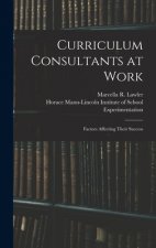 Curriculum Consultants at Work: Factors Affecting Their Success