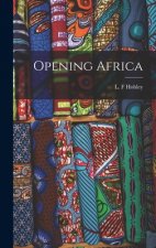 Opening Africa