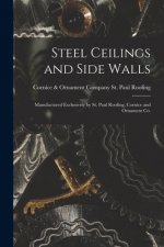 Steel Ceilings and Side Walls