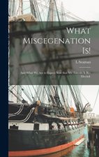 What Miscegenation is!: and What We Are to Expect Now That Mr. Lincoln is Re-elected.