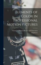 Elements of Color in Professional Motion Pictures