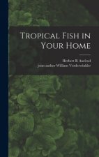 Tropical Fish in Your Home