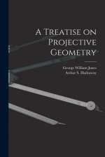 A Treatise on Projective Geometry