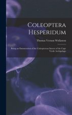 Coleoptera Hesperidum