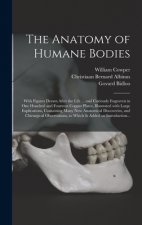 Anatomy of Humane Bodies