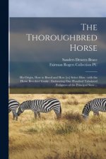 Thoroughbred Horse