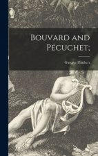 Bouvard and Pécuchet;
