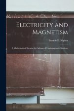 Electricity and Magnetism: A Mathematical Treatise for Advanced Undergraduate Students