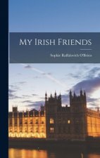 My Irish Friends