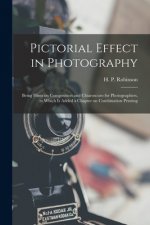 Pictorial Effect in Photography