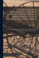 Agricultural Depression at Home, and the Resources, Capabilities and Prospects of the Canadian New North-West [microform]