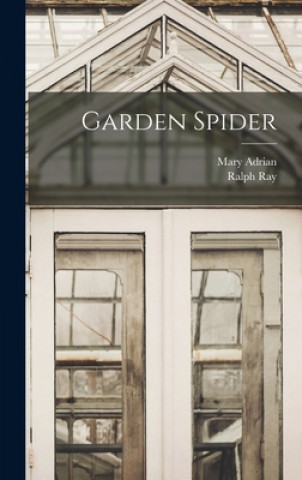 Garden Spider