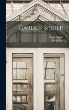 Garden Spider