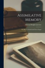 Assimilative Memory: or, How to Attend and Never Forget