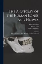 The Anatomy of the Human Bones and Nerves: With a Description of the Human Lacteal Sac and Duct