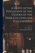 A Study of the Phylogeny of the Genera of the Tribe Coccinellini (Coleoptera)