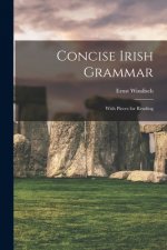 Concise Irish Grammar: With Pieces for Reading